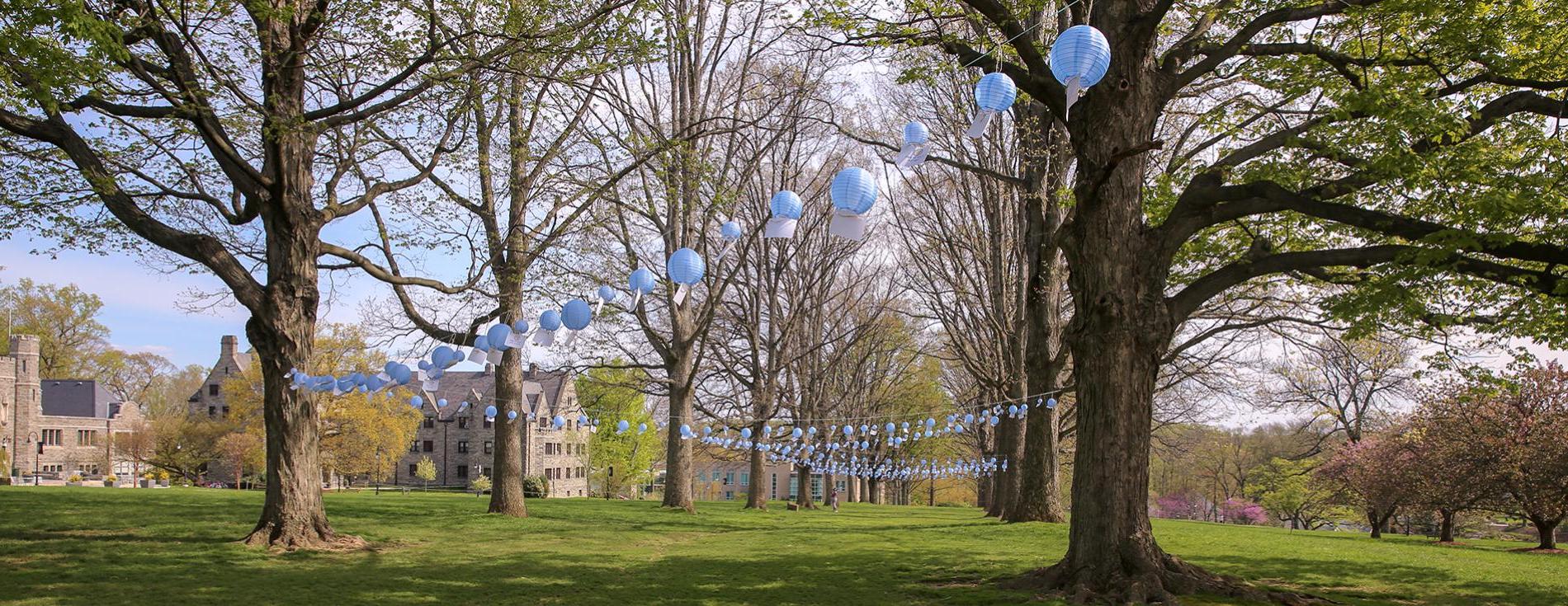 lanterns senior row